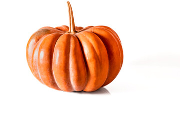 Autumn harvest. Orange pumpkin stands on a white background with space for text