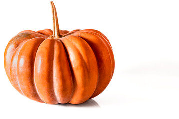 Orange pumpkin stands on a white background with space for text. Autumn harvest