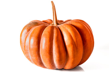 Orange pumpkin stands on a white background with space for text. Autumn harvest