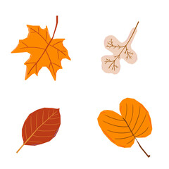 Autumn leaves set, isolated on white background. Simple cartoon flat style. Isolated vector illustration. Design for stickers, logo, web and mobile app.