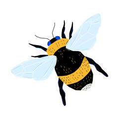 oney bee on white background. Top view. Vector isolated illustration.