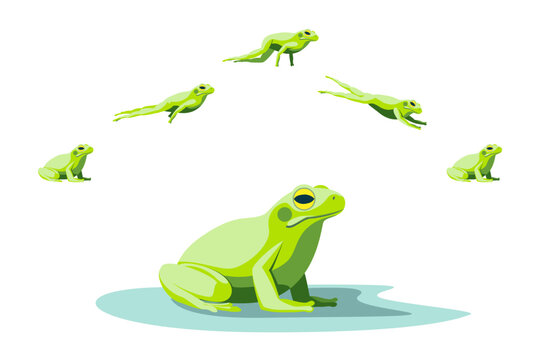 Cartoon Color Characters Green Frog Jumping Animation Series Set Toad Move  Concept Flat Design Style. Vector illustration Stock Vector | Adobe Stock
