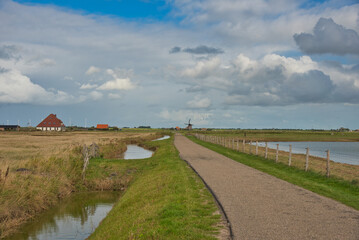 Fototapeta na wymiar Küste bei Camperduin in Nordholland