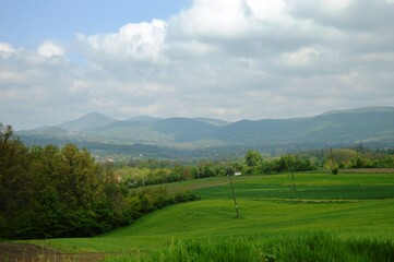 Fototapeta na wymiar spring landscape of cultivated fields