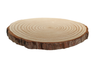 Cross section of tree trunk, stump isolated on white  
