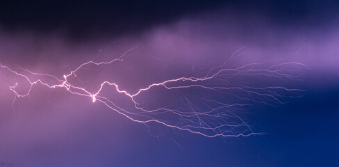 Strongly branched lightning bolt high in the sky