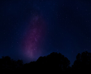 Obraz premium Starry sky silhouetting a forest near Raeford NC