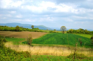 spring landscape of cultivated fields