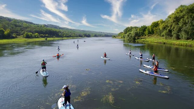 Aerial drone view of multiple people doing standup paddleboarding on the Dniester. Lush forest on the both sides of the river