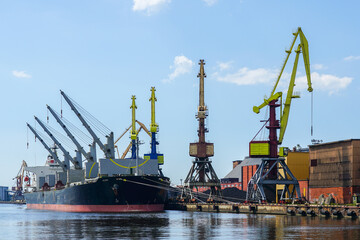 Large bulk carrier with open holds in harbor quay, shore cranes and coal piles