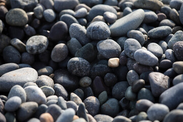 Beach dry pebbles texture backround
