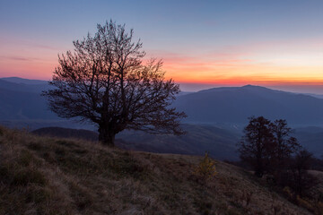 Autumn landscape in the Carpathian mountains with winged beeches and dusk on the horizon. Magical twilight in the mountains in the middle of the autumn forest.