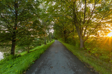Cycle route with green sumer trees in fresh sunrise morning