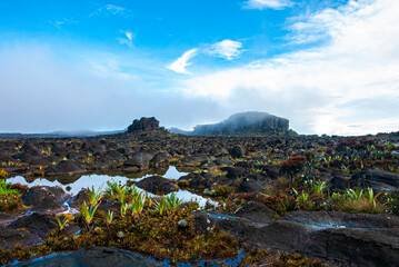 Fototapeta premium Expedition to Mount Roraima, views from top of the mountain, Venezuela