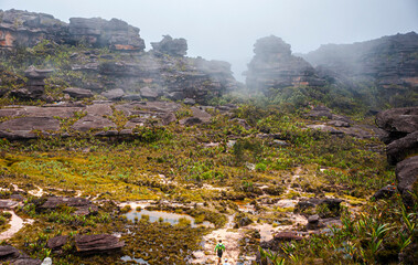 Obraz premium Expedition to Mount Roraima, views from top of the mountain, Venezuela