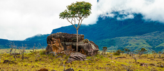 Obraz premium Expedition to Mount Roraima, approaching the mountain, Venezuela