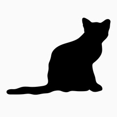 Silhouette of a cat on a white background. - 530904723