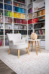 cat sitting on table in modern home interior with colorful book shelf in background