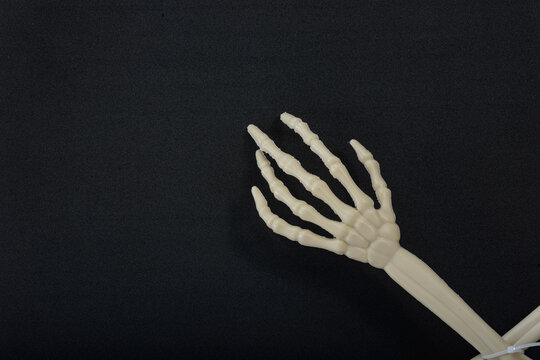 skull of a goat and the skelleton hand for the rite