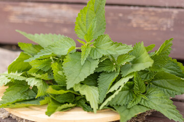 a fresh bunch of nettles on a wooden table