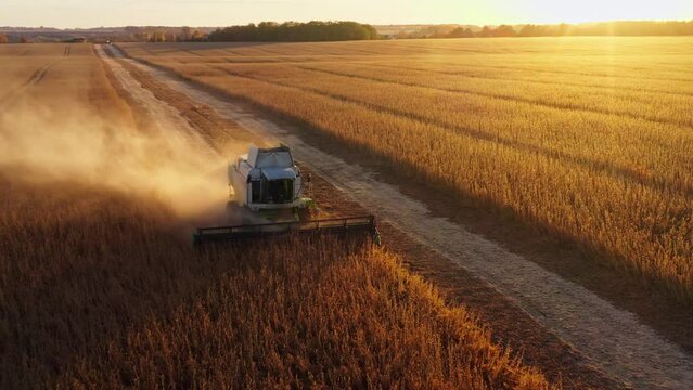 Harvesting combine field food agriculture wheat sunset food working - Powered by Adobe