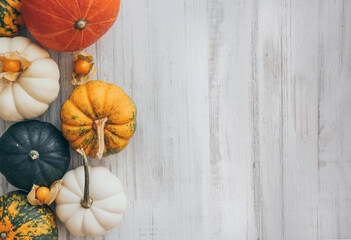 Autumn composition. Fall harvest. Colorful pumpkins and olives on light wooden table. Happy...