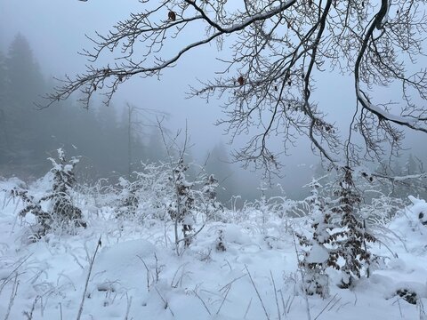 Schneelandschaft am Kahlen Asten, Deutschland
