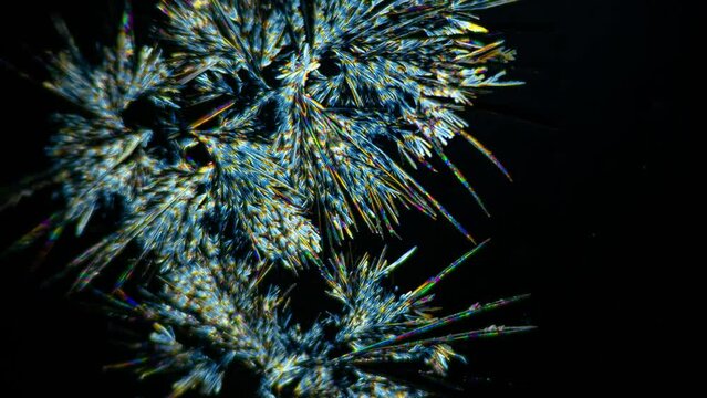 Super beautiful video of growing citric acid crystals in polarized light under a microscope. Multiple magnification. Amazing micro world hidden from human eyes. Timelapse video