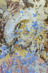 frescoes on the walls of an abandoned temple, Jesus Christ