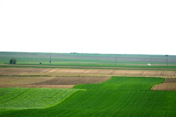 a landscape of cultivated fields