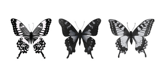 Set of realistic PNG butterflies. Collection of vintage elegant illustrations of butterflies. Design element for your project.