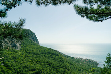 Obraz premium View of the panorama of the beach and the black sea in the background down. Ai-Petri, Crimea. Pine branch overlooking the cliff in a beautiful style. View from above.