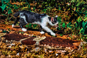 Close-up of a cat walking like in a hunt, in a courtyard full of plants near Elvas. A rural city in Portugal. Oil paint filter.