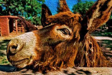 Close-up of nice donkey behind a wooden corral on a sunny day in a farmstead near Elvas. A gracious countryside city in Portugal. Oil paint filter.