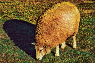 Sheep covered by thick layer of wool grazing on a green lawn, in a farm near Cambara do Sul. A small country town in Brazil. Oil paint filter.