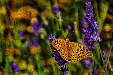 Beautiful butterfly landed on lavender flower in a garden of Marvao. An amazing village perched on a granite crag in Portugal. Oil paint filter.