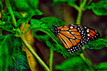 Close-up of a colorful butterfly on top of leaves in a garden of Campos do Jordao. A town famous for its ecotourism, in Brazil. Oil paint filter.
