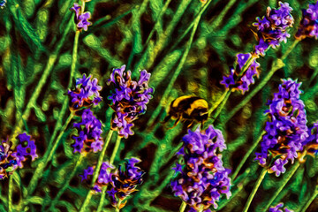 Close-up of bush with lavender flowers and bees in a sunny day at Weesp. A pleasant village full of canals in Netherlands. Oil paint filter.