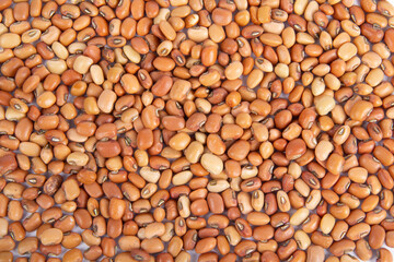 Red Cowpeas Dry Beans or Seeds Background
