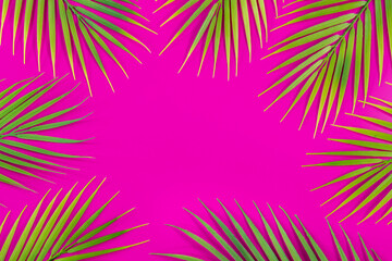 Fototapeta Tropical green leaves on fuchsia background, flat lay, creative concept, Vivid, juicy colors, Space for lettering, Advertising banner obraz