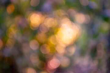 View of the sunset through the leaves in the form of bright bokeh.