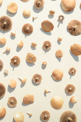 Wild mushrooms on a cream background. Autumn concept.