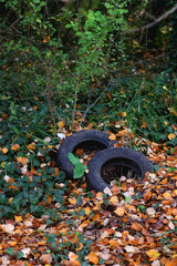 Two old tires thrown in nature, covered in fallen leaves. Environmental pollution concept. Selective focus.