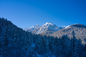 Winter mountain peak and snowy fir trees