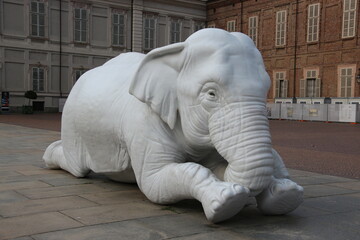 Elefante  © Joseandres