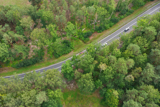 Asfaltowa droga w lesie. Widoczne są białe linie na jezdni. Pobocza porasta zielona trawa, w głębi zielony las. Zdjęcie wykonane z użyciem drona. © boguslavus