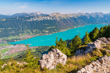View over Lake of Brienz