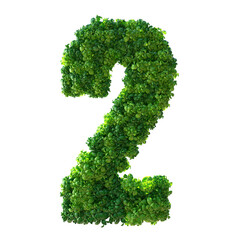 Number 2, Alphabet. Green plant number isolated with Clipping Path. 3d illustration. leaves, grass, moss, basil, mint.