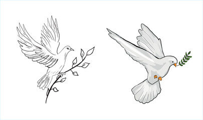 A dove carrying an olive branch. exemplar of peace. World peace. Hand drawing vector illustration