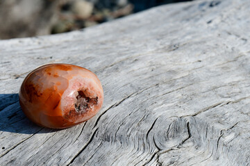 An image of a red carnelian geode on a large piece of weathered driftwood. 
